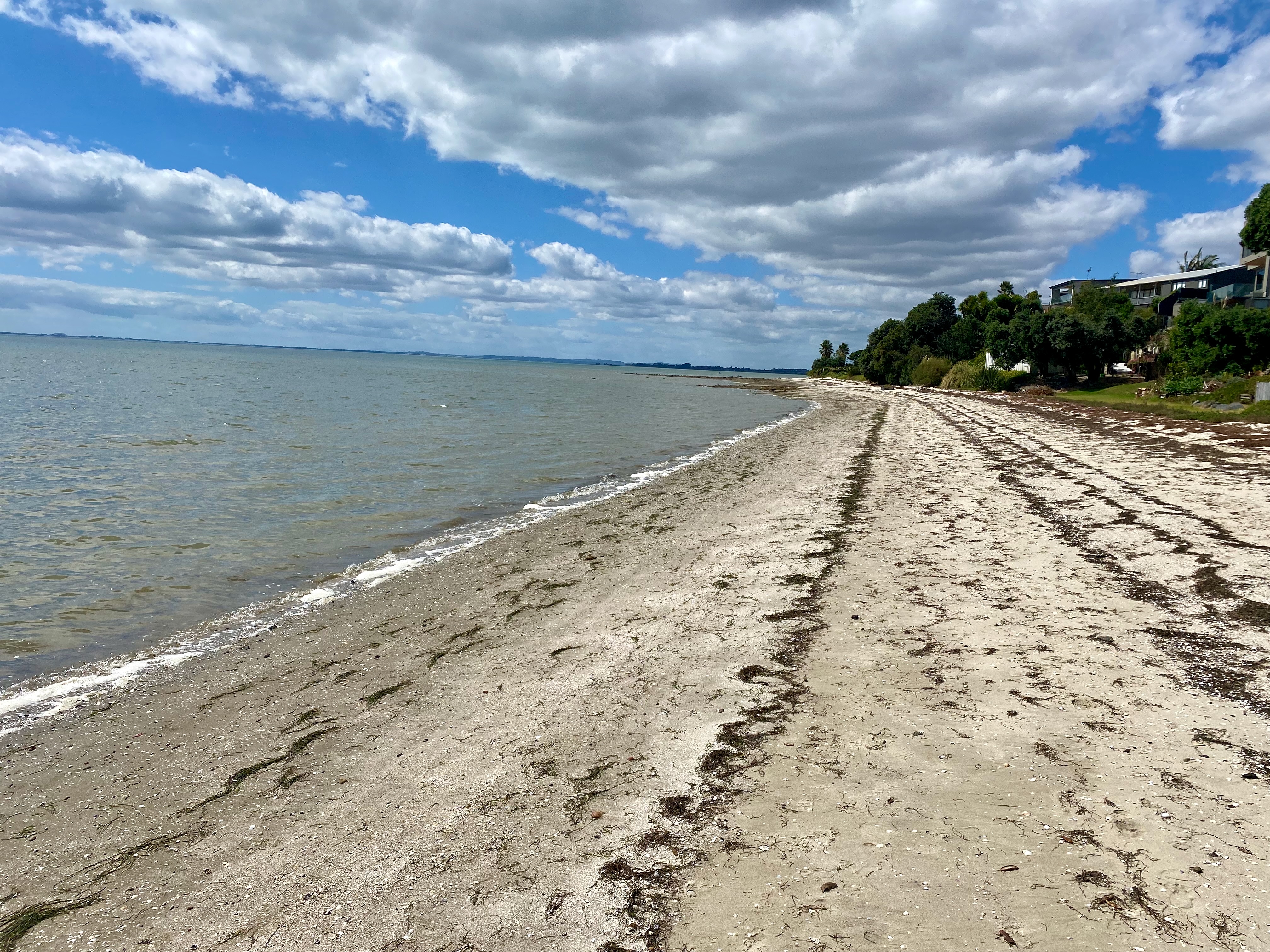 clarks beach at high tide