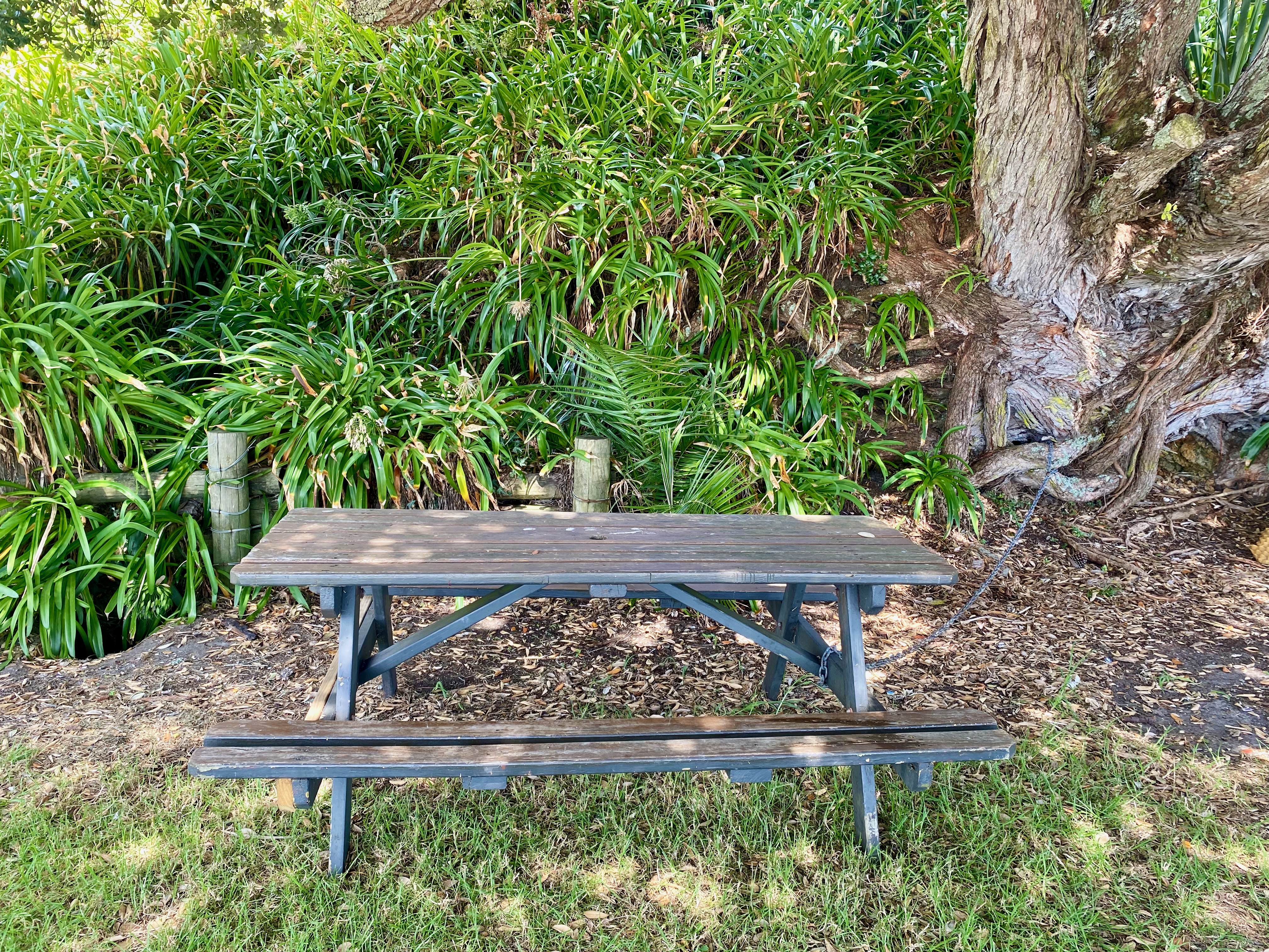 clarks beach picnic table