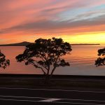 Top 9 Shore Excursions in Auckland, New Zealand